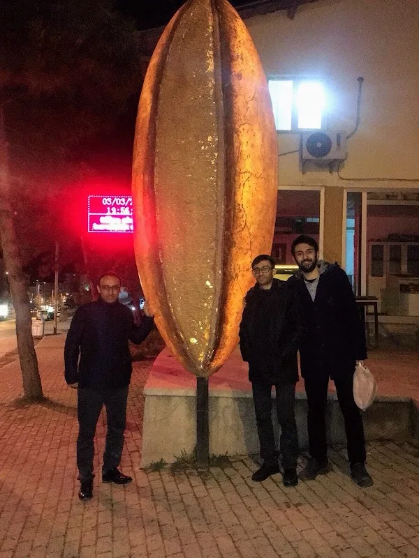 12