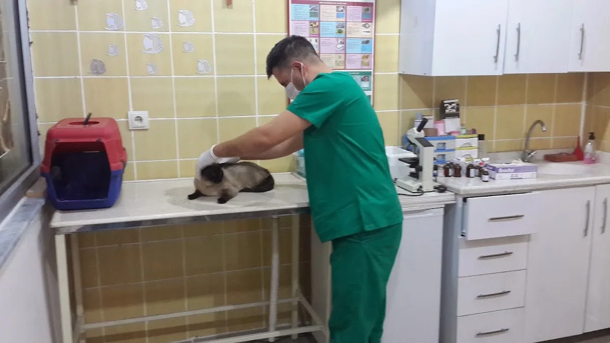 CEYHAN MERT VETERİNER KLİNİĞİ
