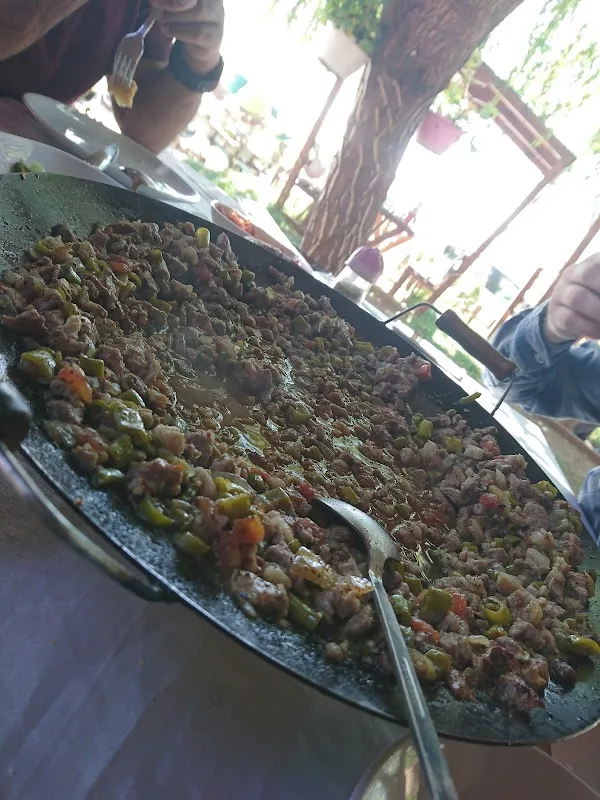 Lale Pastanesi