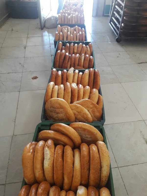 Fırın