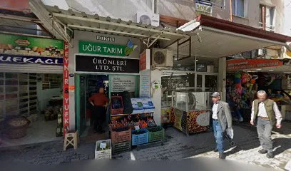 Dikili Cevat Usta