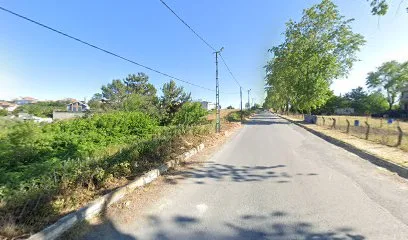 Araç