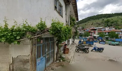 Bayık gıda