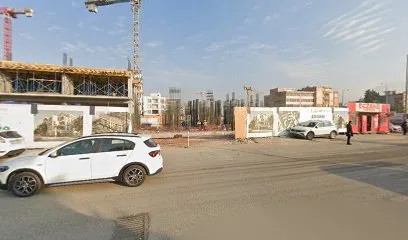 Elit Yargı