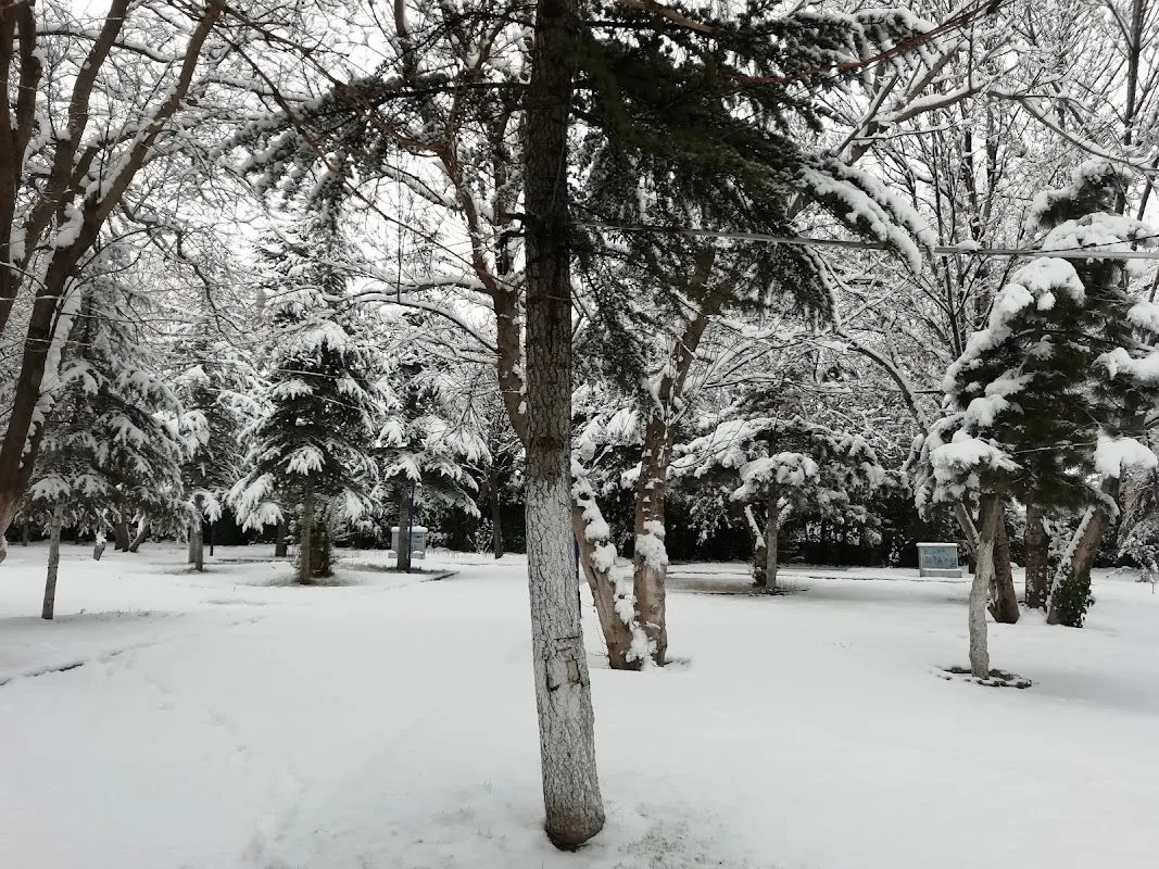 Hısım Aile Çay Bahçesi