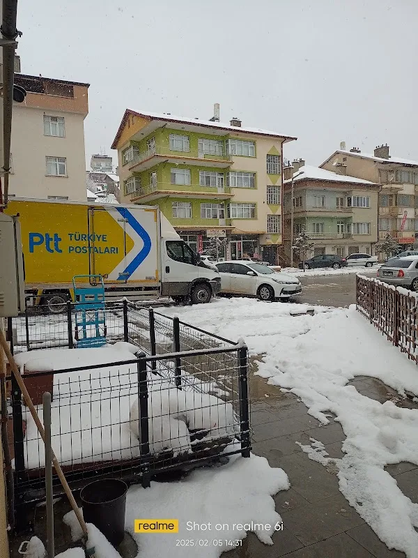 Kuzu Ekmek Fabr.