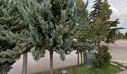 Denli Pide Fırını