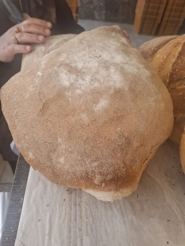 Bereket Emet Ekmeği Ve Pide Fırını