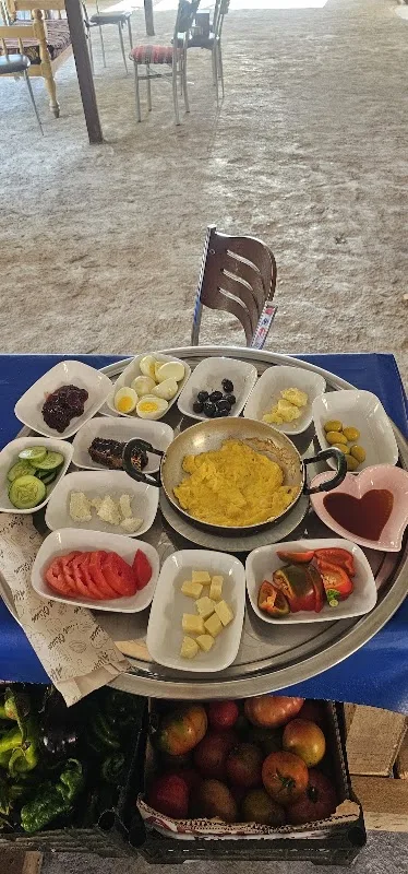 Doğanlı çınar et&alabalık