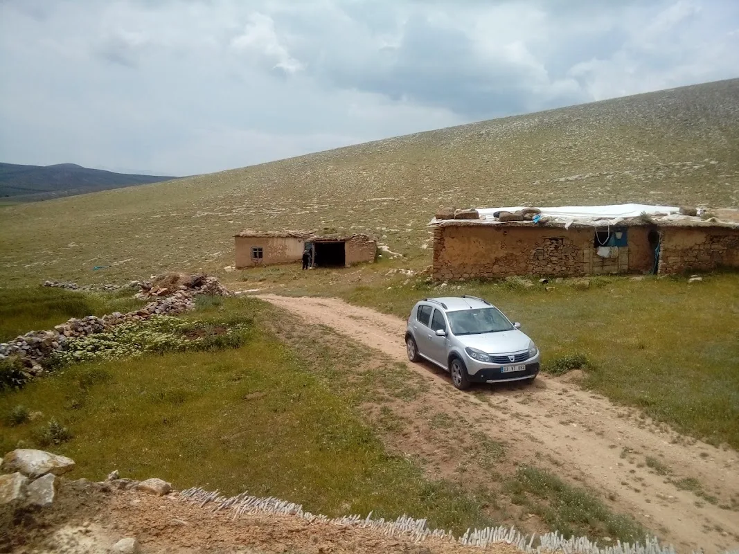 Çukurcak