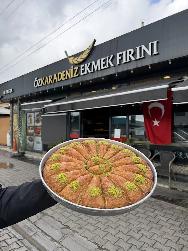 Öz Karadeniz Taş Ekmek Fırın