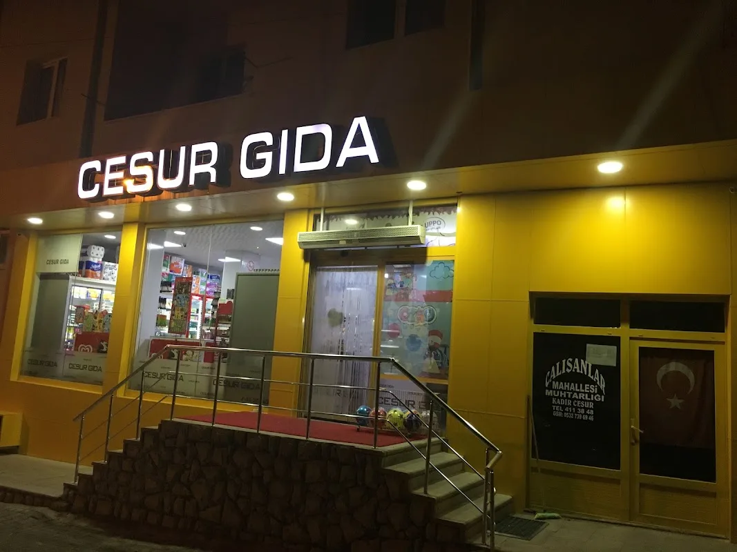 Cesur Gıda