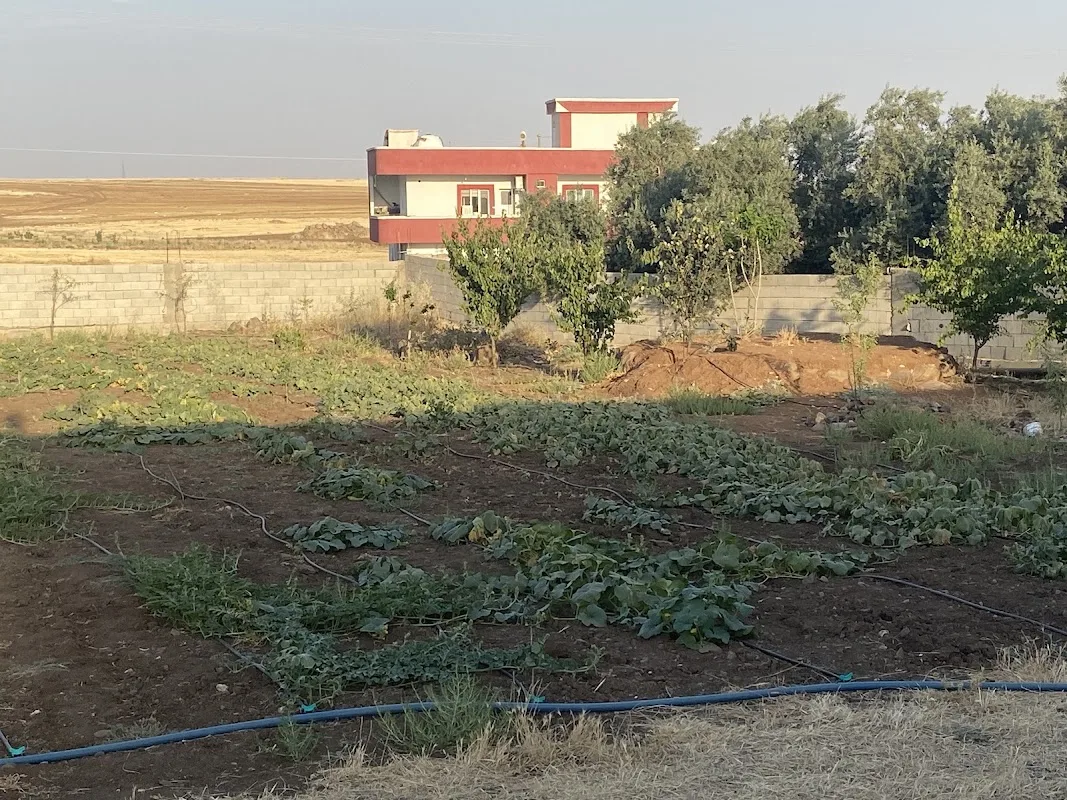 Özbek ekmek fırını