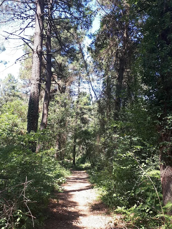 Reşadiye Mesire Alanı