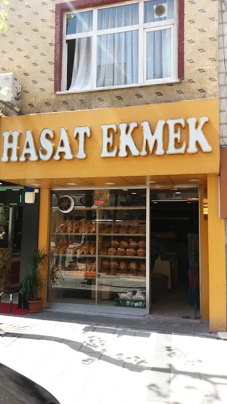Hasat 2 Odun Ekmeği
