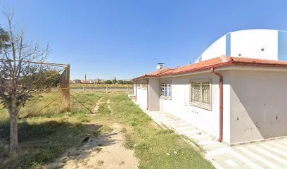 Bolvadin ağılönü