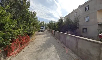 Bilgi Market