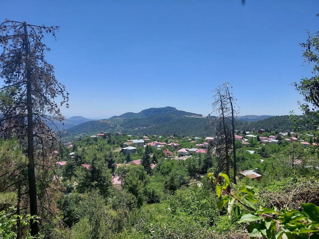 Çamlıyayla