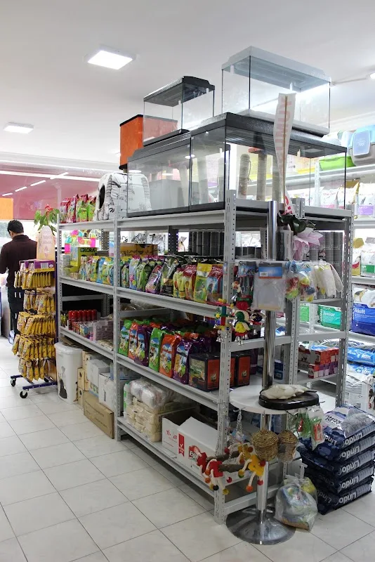 Zeus Pet Market