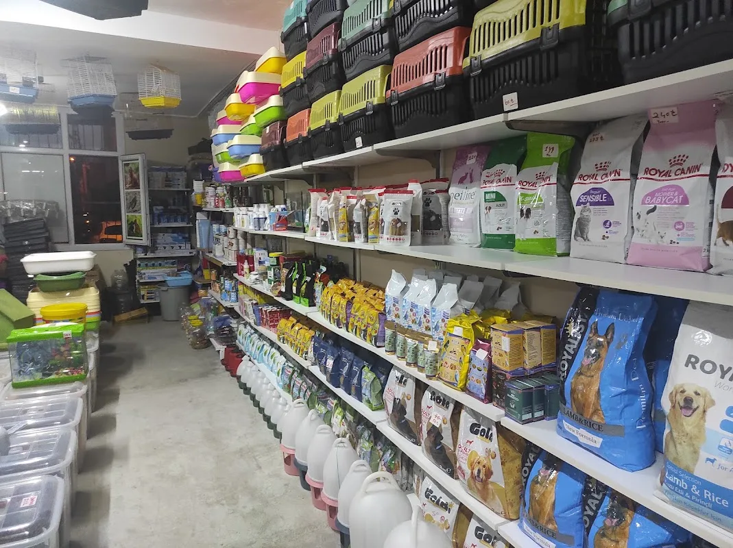 Paşam Petmarket (Petshop akvaryum)