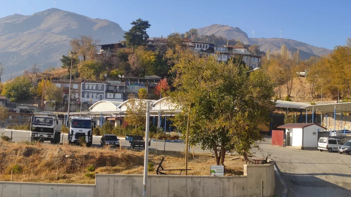 Pazar Yeri