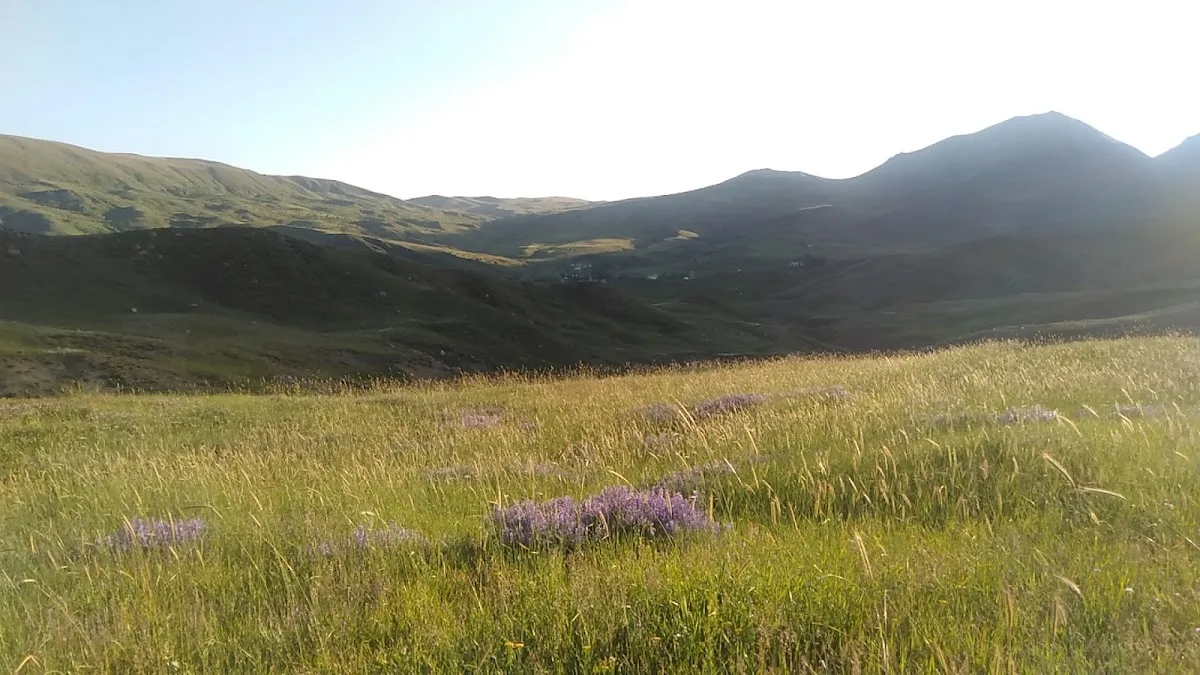Hasanpınarı