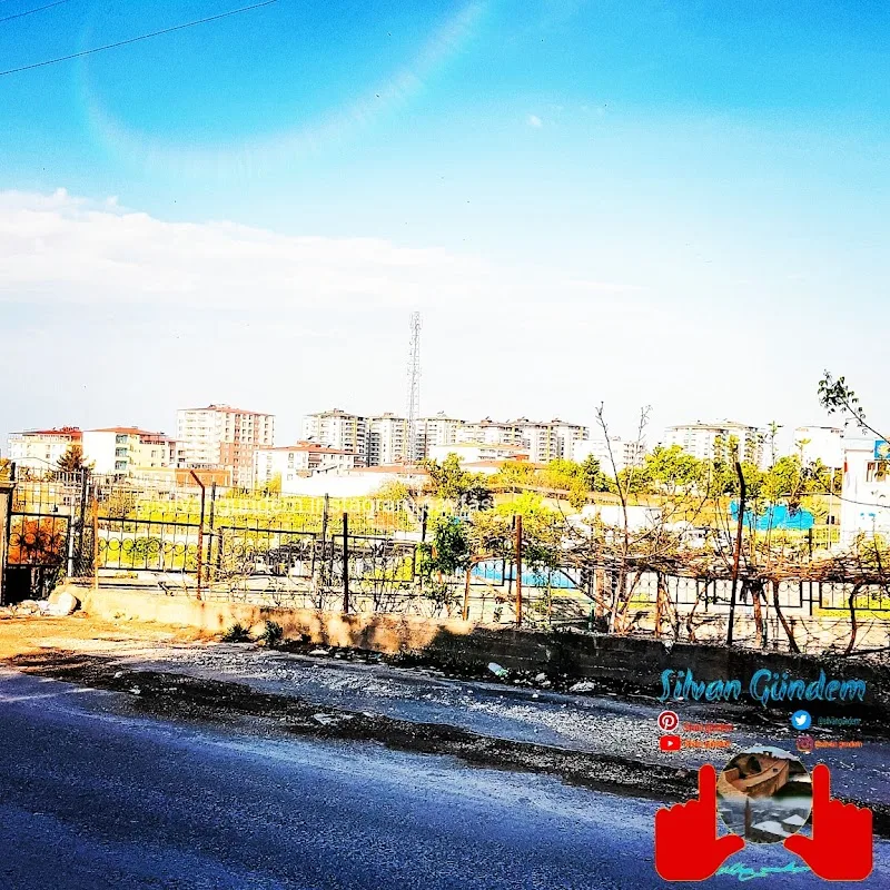 seylan market