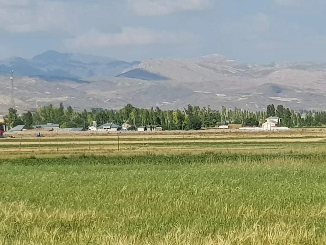 Mollasüleyman