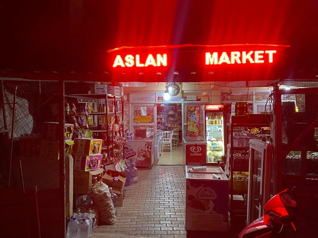 Aslan market