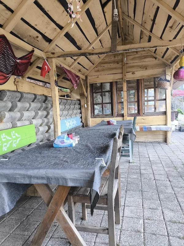 Orman Sokağı Elif’in Yeri