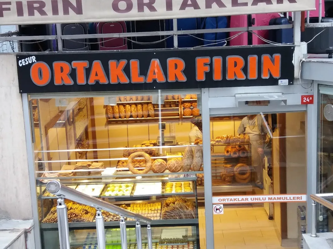 CESUR ORTAKLAR FIRIN