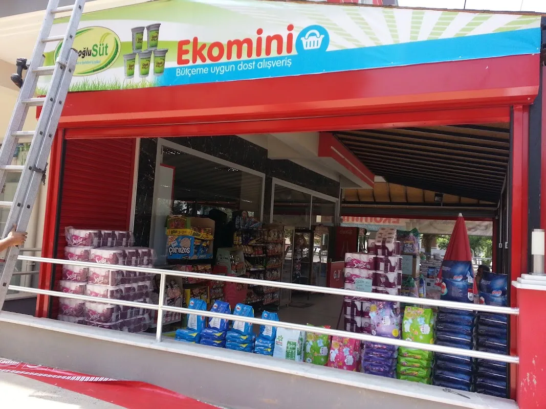 Ekomini Market