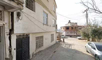 Besnililer Seyahat