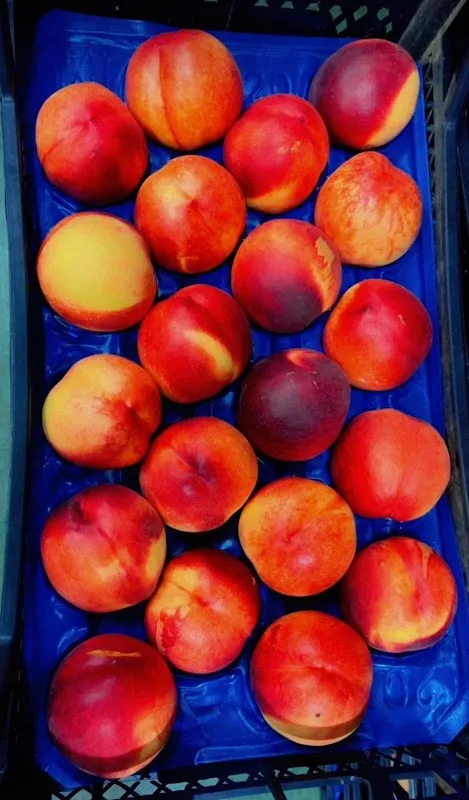 Market 52 (Menderes Market 52 market)