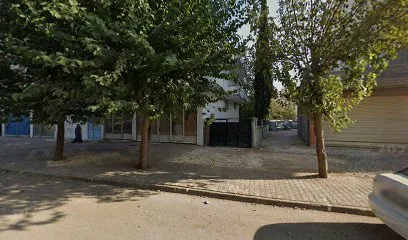 Terzi