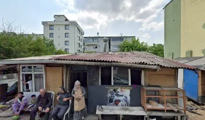 Van Tandır ekmeği
