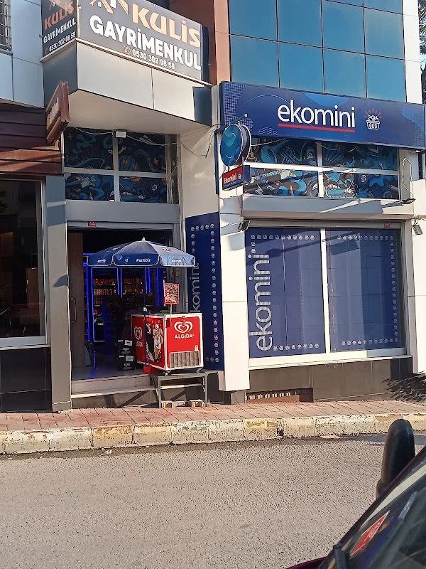 Ekomini