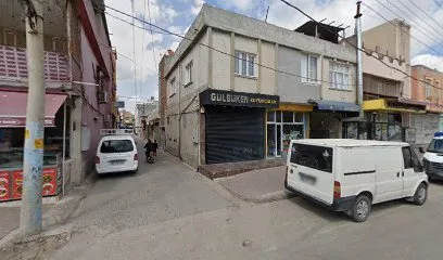 Okaliptus Kitap