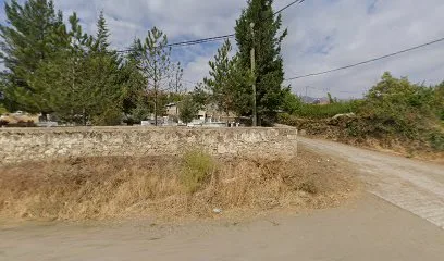 Et ve süt ürünleri