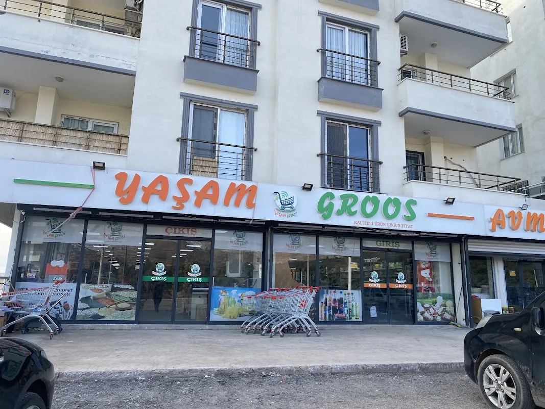 Yaşam Gross Derik