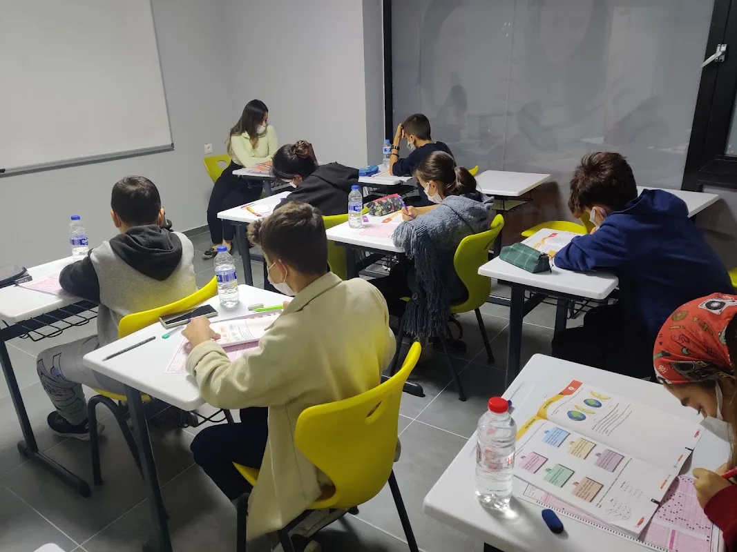 Arı Vip Eğitim Kurumları