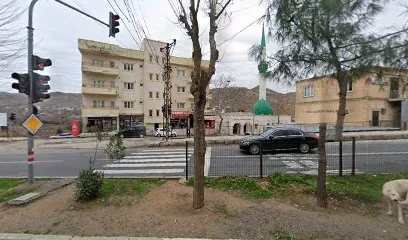 Çam Market
