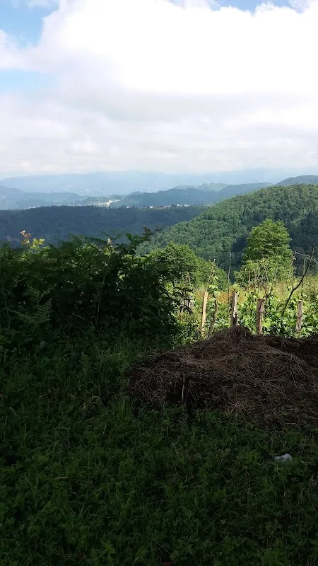 Gürgentepe Fındık Tarım Satış Kooperatifi