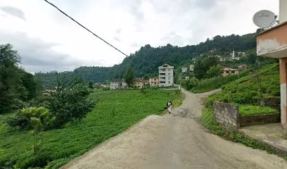 Şelale Market