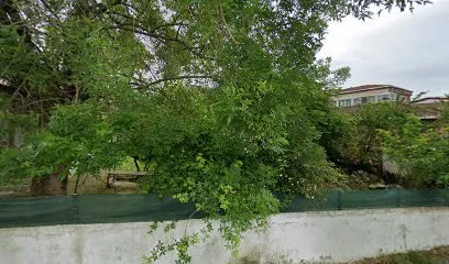 Çavuş Cikmazi