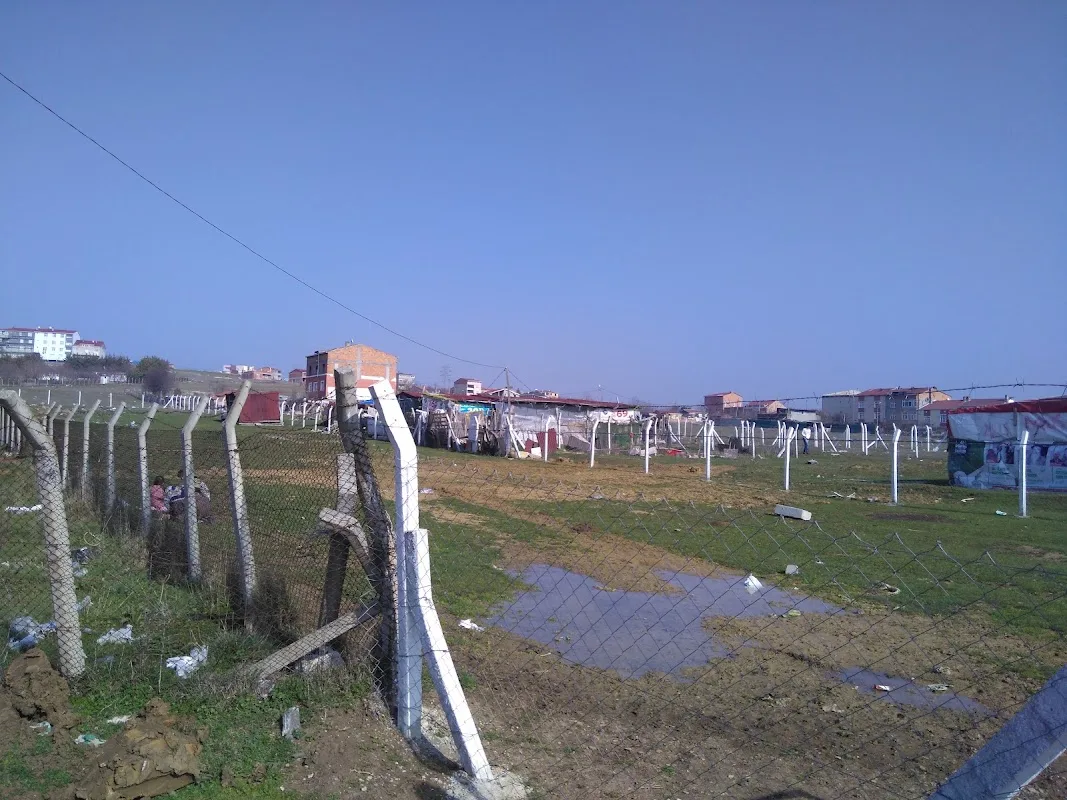Kayalar Market
