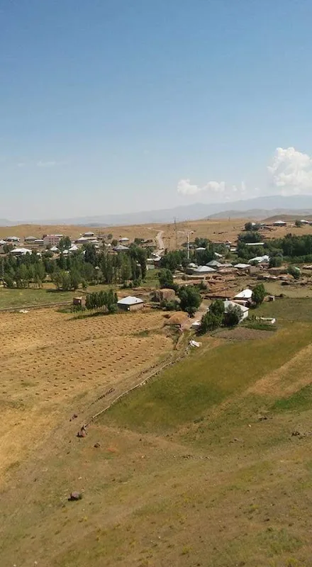Kuşkaya