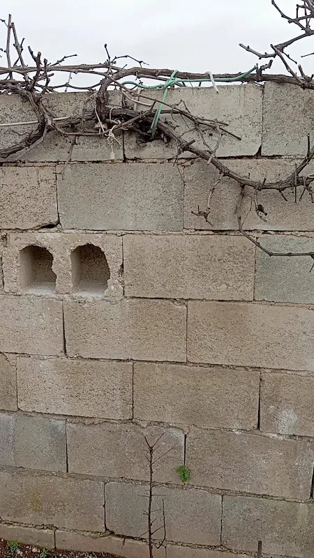 Videolar