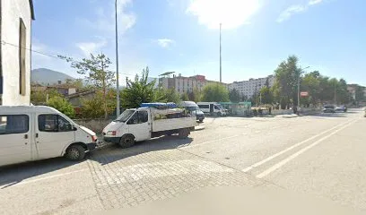 Şok