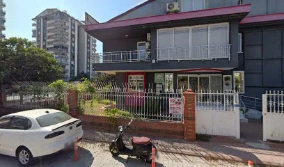 5M Akademi